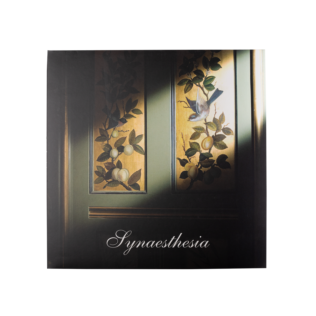 Synaesthesia Vinyl With USB